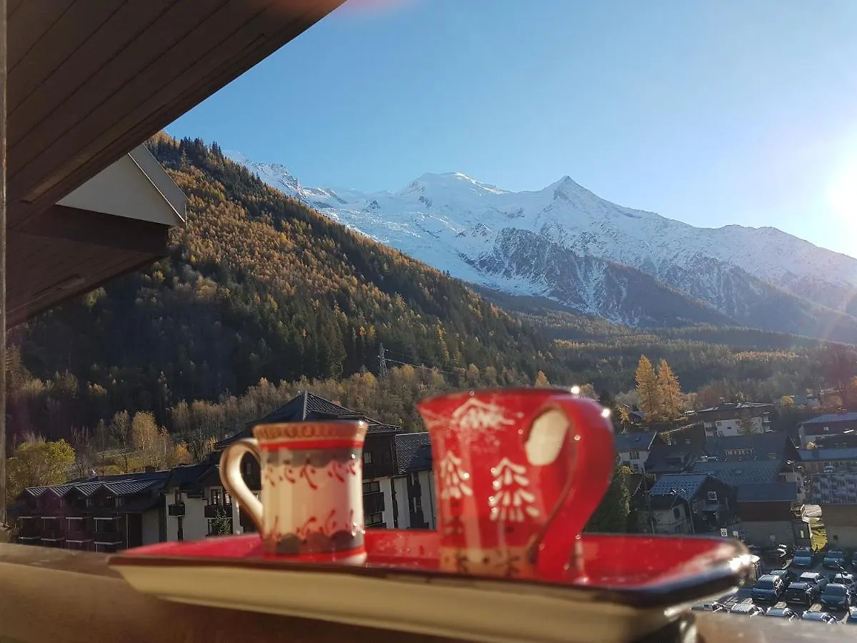Vue Montblanc Magique En Centre-Ville Avec Parking contacts